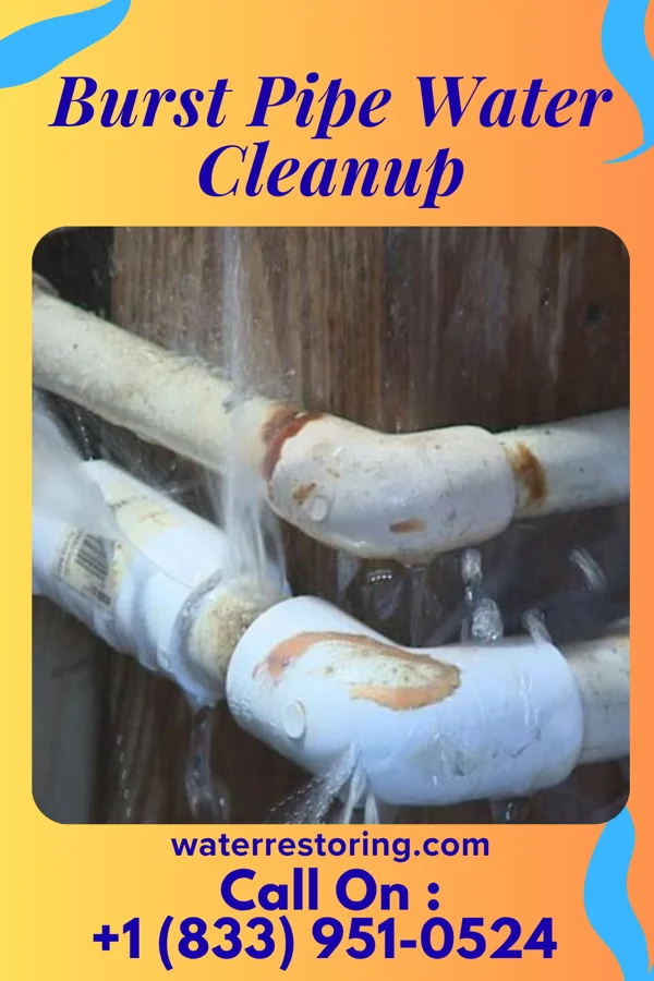 Burst Pipe Water Cleanup in St. Charles, ID